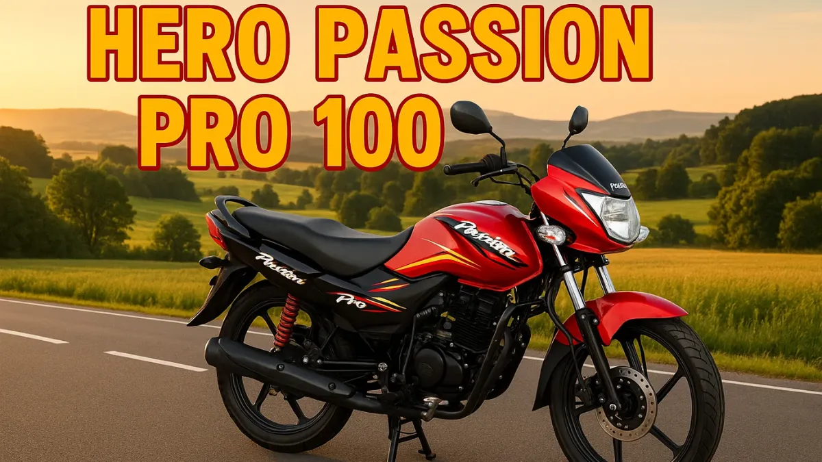 Hero Passion Pro 100